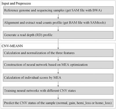 CNV-MEANN: A Neural Network and Mind Evolutionary Algorithm-Based Detection of Copy Number Variations From Next-Generation Sequencing Data